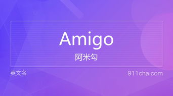 阿米狗amigo是什么意思，amigo是什么意思歌曲
