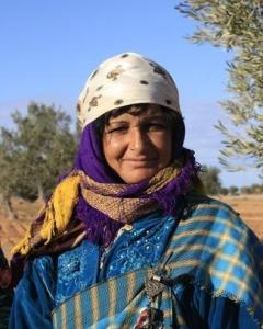 柏柏尔人是什么人种，柏柏尔人是阿拉伯人吗