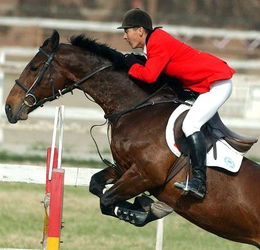 张河村位于哪个省