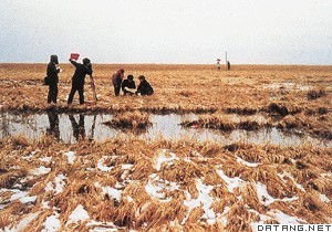 开垦的解释及造句