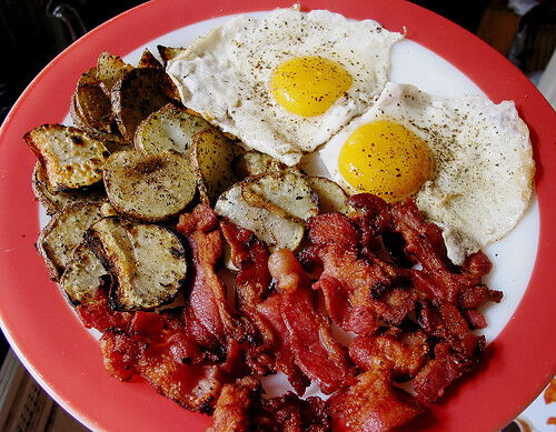 bacon怎么读，bacon翻译