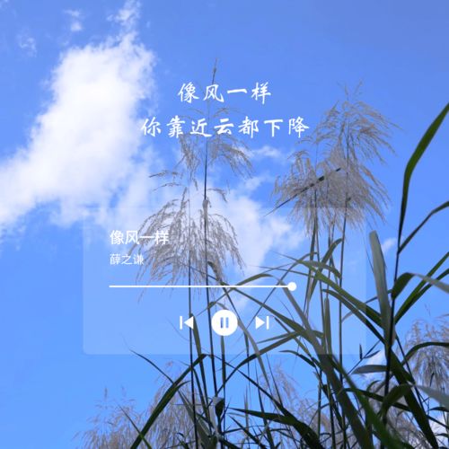 微风的成语，微风细雨王菲原唱
