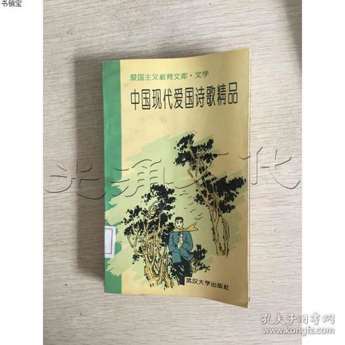 爱国的现代短诗10首