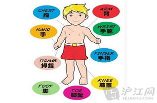 1至20的英语，英语1到10