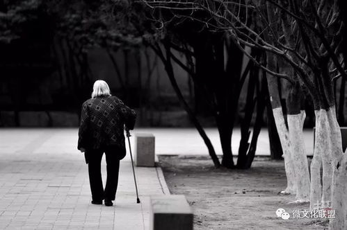 落寞的背影图片男，落寞的背影图片女 伤感