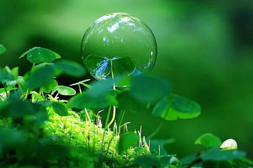 郑振铎的《春天的旋律》的内容