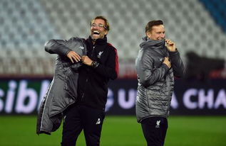 什么是分布式能源(distributed energy resources,ders)?