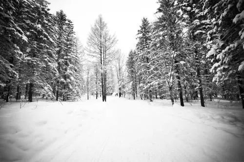 积雪浮云端的意思，积雪浮云端地理名词