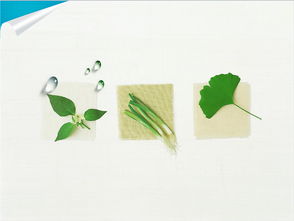 轻蔑近义词是啥，轻蔑 近义词