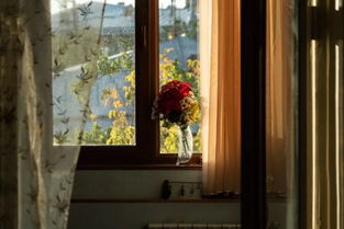 窗前明月光 疑是地上霜 举头望明月 低头思故乡，窗前明月光是哪首诗里的