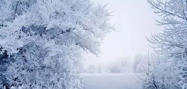 北风行全诗内容