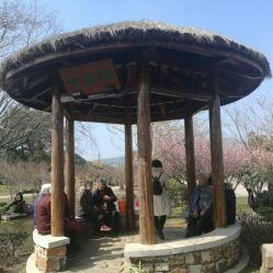 《太湖恬庭》的写作背景及翻译是什么?