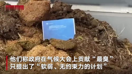 马粪包图片，马粪包蘑菇