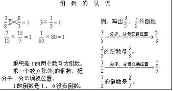 分数除法的意义是什么?六年级上册，分数除法的意义教学反思