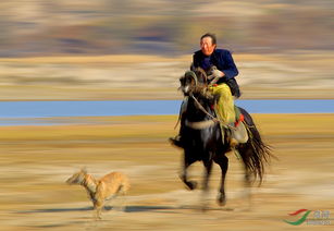快马电动车属于什么档次