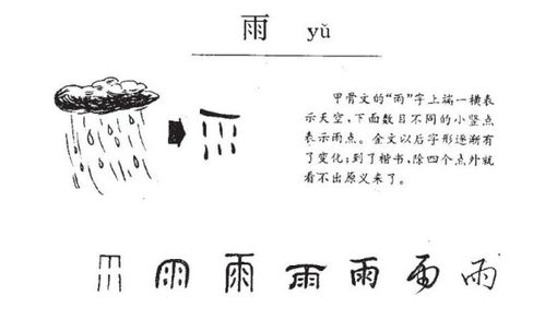 雨的组词笔顺，雨的组词有哪些呢一年级两字