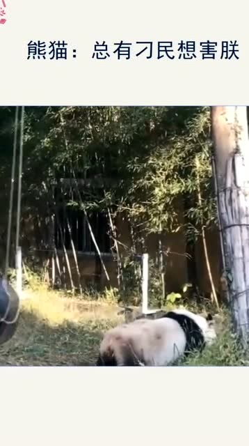 枉担虚名的意思，浮华虚名的意思