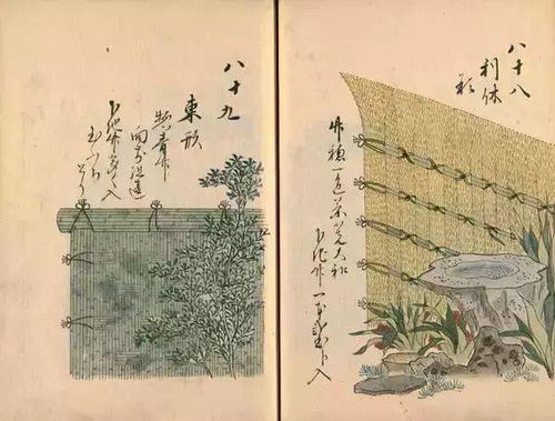 篱落疏疏一径深,下句是什么?