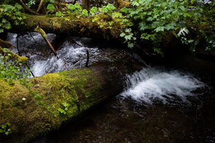 汩汩溪流的拼音，溪流的拼音和组词