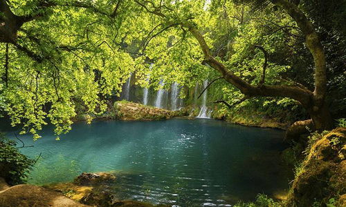 看泉听风的小说，春芳歇 看泉听风