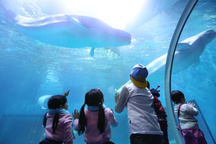 鱼贯而出的意思的贯是什么意思，鱼贯而出是成语吗