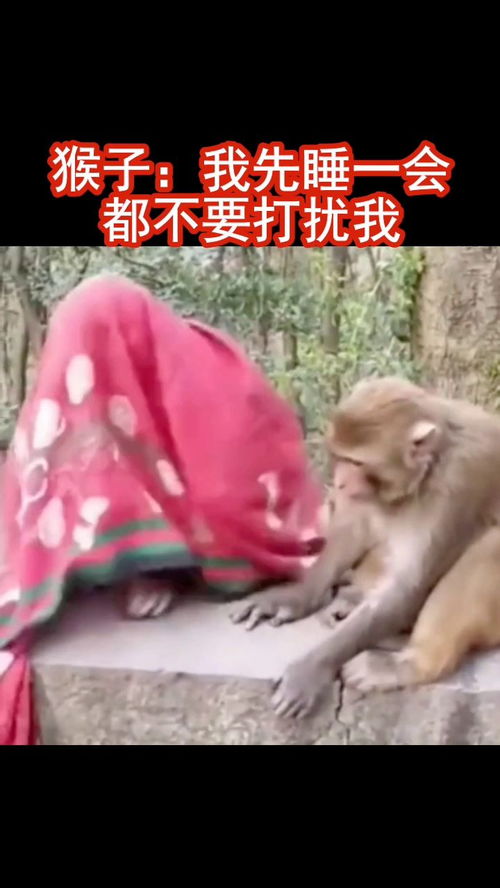 竟然的解释竟然的解释是什么