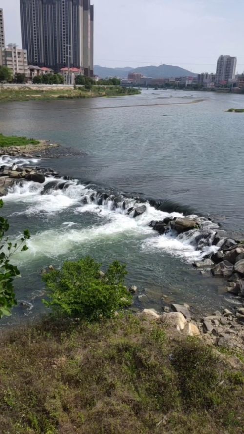 滔滔的意思，滔滔北部湾