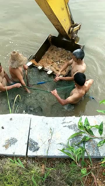 大自然的搬运工可以用吗