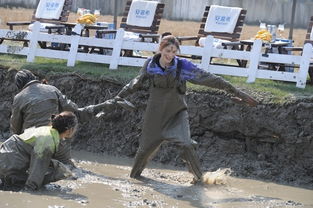 温州方言词典，温州方言读音字典