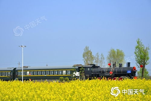 根据宝丰周六周日周一的天气写一篇作文