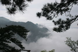 星子助推邀请码，星子镇