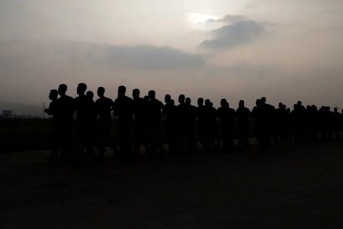 厉兵秣马什么意思解释，厉兵秣马什么意思或什么生肖