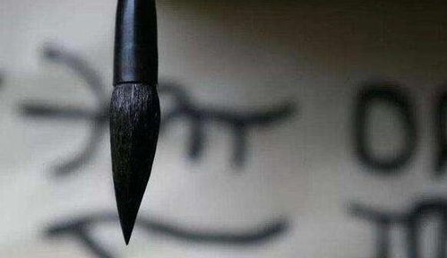 欣赏的欣组词欣赏的赏组词，欣赏的欣 组词