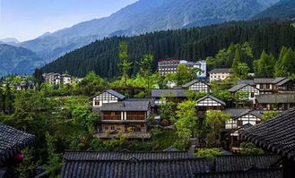 半山老人指，半山老人由来