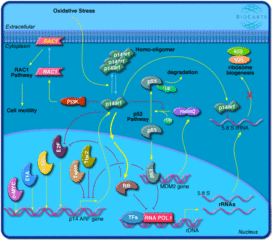 emi suppress0r什么意思