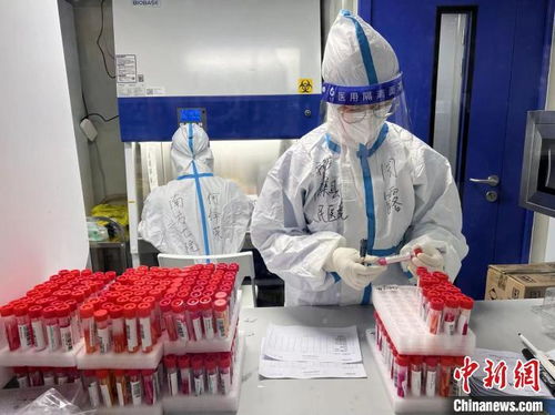 支援的意思