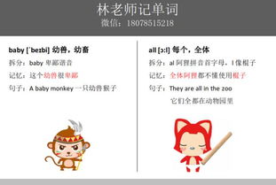 芒果英文怎么说mango