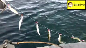 绵里藏针什么意思?出处是哪里?