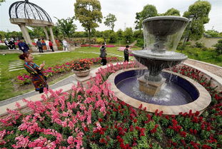 月浦二手房出售价，月浦八村房价