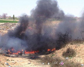 垃圾焚烧炉处理废物的步骤是什么?