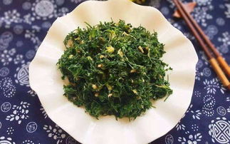 故乡的野菜读后感，故乡的野菜汪曾祺读后感