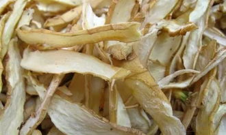 玉竹是什么样子的，玉竹是什么颜色正常