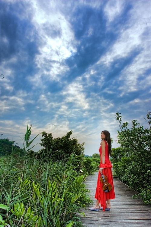 只有青山留在白云间 是什么歌