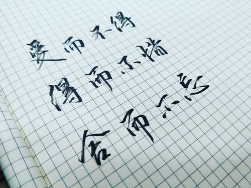 怀念的近义词有