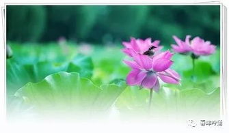 无边无际写句子