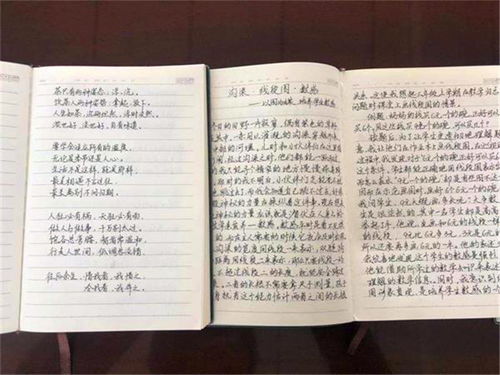 《朝花夕拾》读书笔记摘抄_3350字