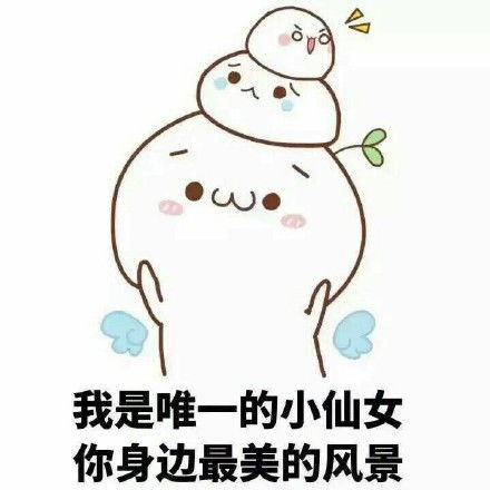 旋,你是我的小仙女.用英语怎么翻译