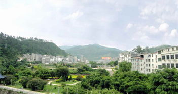 西林天气预报7天查询，西宁天气预报