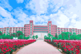 山东科技大学怎么样在全国算几本，山东科技大学怎么样是211吗