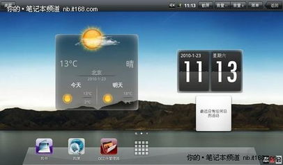 飞蟹，飞蟹图片